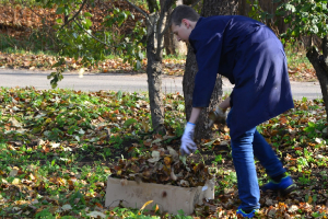 Rudens darbi 20. oktobrī_25