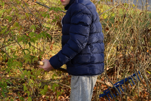 Rudens darbi 20. oktobrī_26