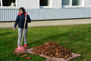 Rudens darbi 20. oktobrī_29
