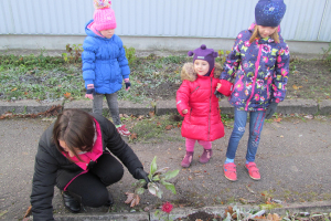 Rudens darbi 20. oktobrī_5