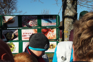 Dažādi pasākumi sk. L. Pavlovas fotogalerijā III_58