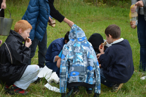 Orientēšanās sacensības / Pikniks_88