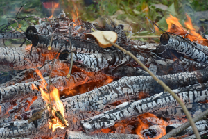 Orientēšanās sacensības / Pikniks_91