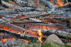 Orientēšanās sacensības / Pikniks_93