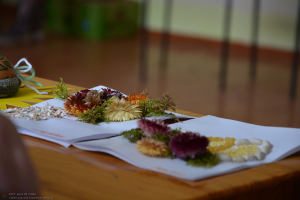Pasākums 