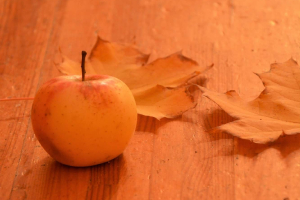  Rudens Karuselis_154