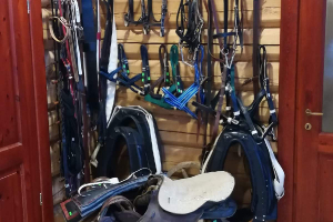 5.-7. klases viesojas 