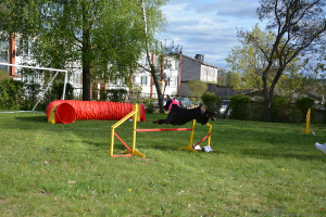  Rēzeknes dzīvnieku audzētāju biedrība viesojas C klašu struktūrvienībā 9. maijā_25