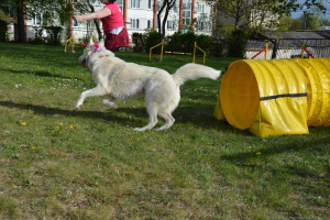  Rēzeknes dzīvnieku audzētāju biedrība viesojas C klašu struktūrvienībā 9. maijā_37