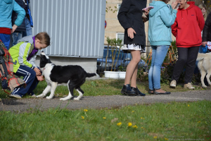  Rēzeknes dzīvnieku audzētāju biedrība viesojas C klašu struktūrvienībā 9. maijā_51