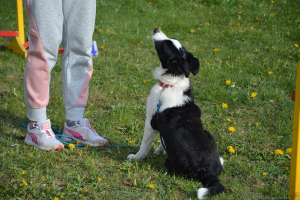  Rēzeknes dzīvnieku audzētāju biedrība viesojas C klašu struktūrvienībā 9. maijā_73