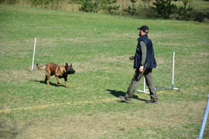 Karjeras atbalsta pasākums ar kinologu un viņa četrkājaino draugu 30. aprīlī_1