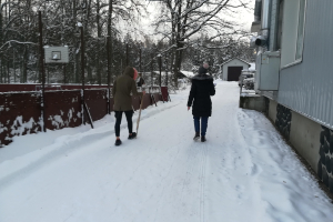 Rozentovas atklāto nodarbību cikls matemātikā 