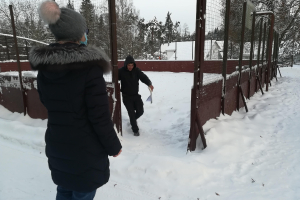 Rozentovas atklāto nodarbību cikls matemātikā 