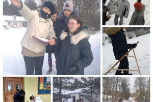 Rozentovas atklāto nodarbību cikls matemātikā 