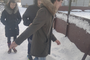 Rozentovas atklāto nodarbību cikls matemātikā 