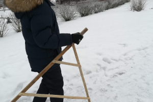 Rozentovas atklāto nodarbību cikls matemātikā 