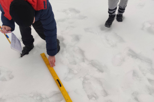 Rozentovas atklāto nodarbību cikls matemātikā 